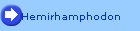 Hemirhamphodon